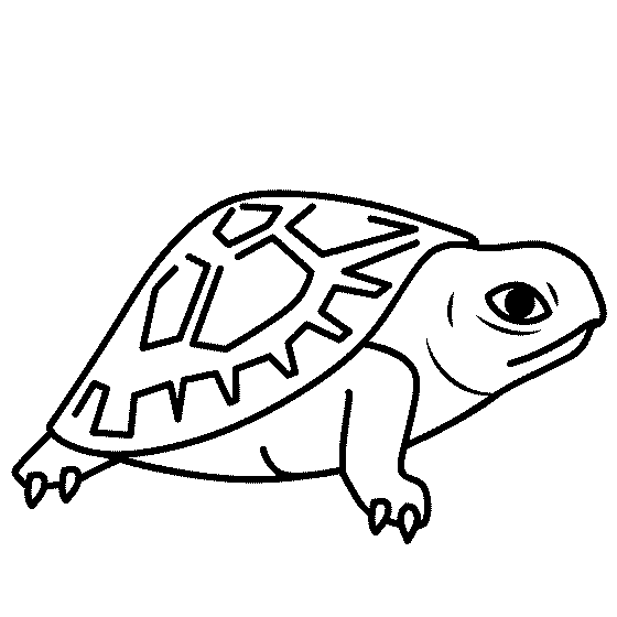 Free Baby Turtle Coloring Pages